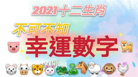 屬兔的幸運數字|2024年運勢大揭秘：生肖兔的幸運數字、顏色和貴人。